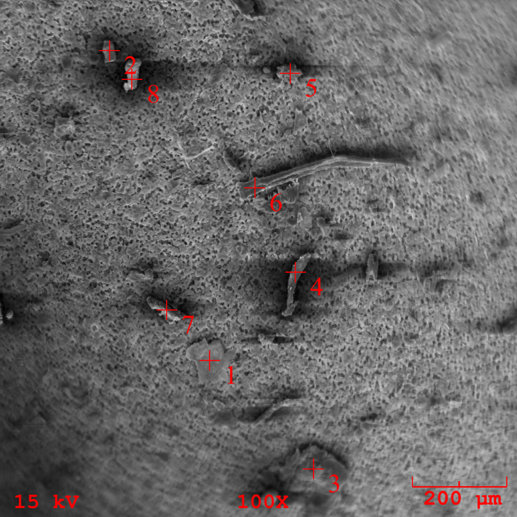 particle-analysis-SEM