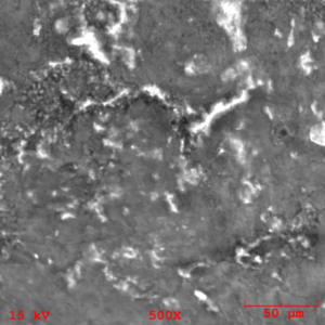 Figure 10 – SEM photomicrograph obtained from the insert surface at 500X magnification 